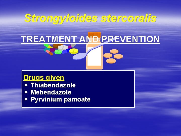 Strongyloides stercoralis TREATMENT AND PREVENTION Drugs given û û û Thiabendazole Mebendazole Pyrvinium pamoate