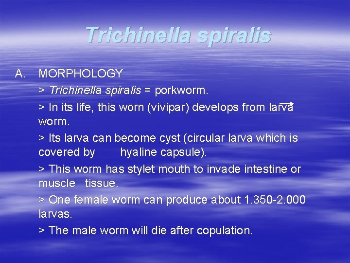 Trichinella spiralis A. MORPHOLOGY > Trichinella spiralis = porkworm. > In its life, this