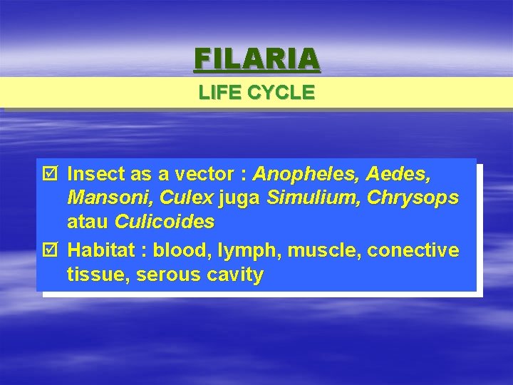 FILARIA LIFE CYCLE þ Insect as a vector : Anopheles, Aedes, Mansoni, Culex juga