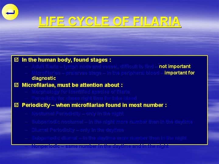 LIFE CYCLE OF FILARIA þ In the human body, found stages : – Adult