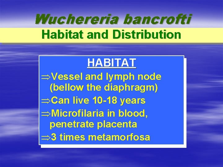 Wuchereria bancrofti Habitat and Distribution HABITAT ÞVessel and lymph node (bellow the diaphragm) ÞCan