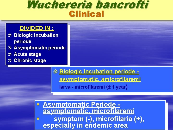 Wuchereria bancrofti Clinical DIVIDED IN :  Biologic incubation periode  Asymptomatic periode 