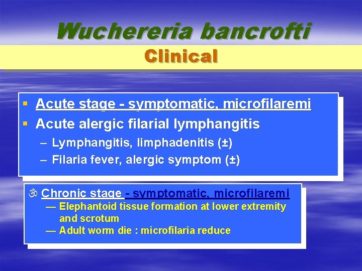 Wuchereria bancrofti Clinical § Acute stage - symptomatic, microfilaremi § Acute alergic filarial lymphangitis