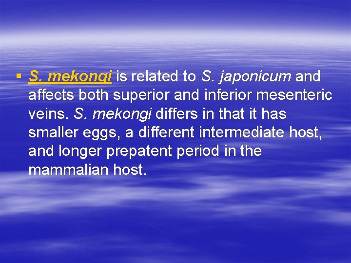 § S. mekongi is related to S. japonicum and affects both superior and inferior