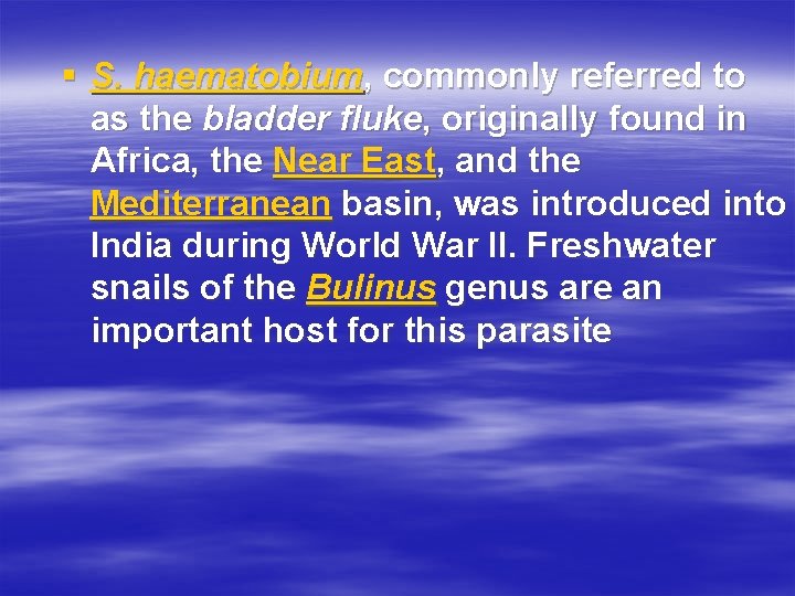 § S. haematobium, commonly referred to as the bladder fluke, originally found in Africa,