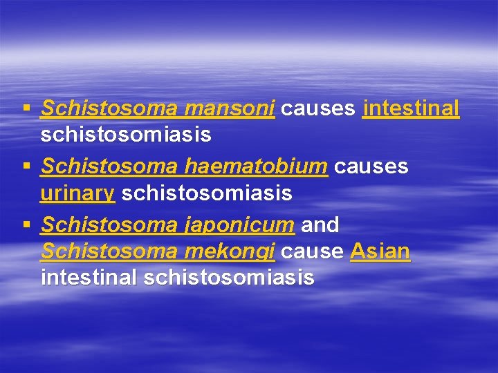 § Schistosoma mansoni causes intestinal schistosomiasis § Schistosoma haematobium causes urinary schistosomiasis § Schistosoma