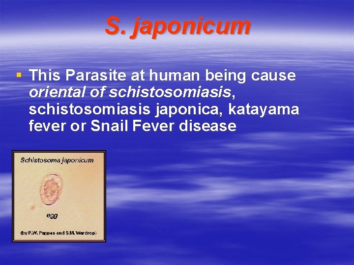 S. japonicum § This Parasite at human being cause oriental of schistosomiasis, schistosomiasis japonica,