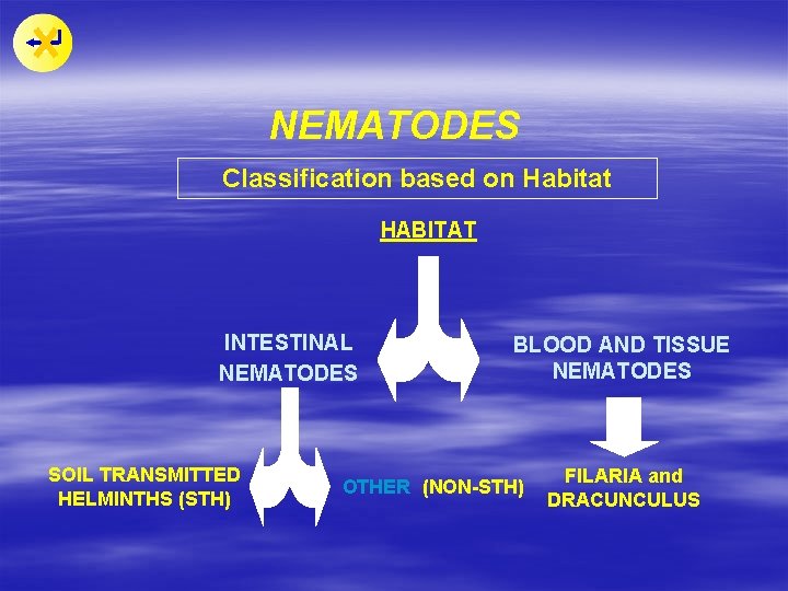 NEMATODES Classification based on Habitat HABITAT INTESTINAL NEMATODES SOIL TRANSMITTED HELMINTHS (STH) BLOOD AND