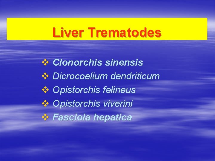 Liver Trematodes v Clonorchis sinensis v Dicrocoelium dendriticum v Opistorchis felineus v Opistorchis viverini