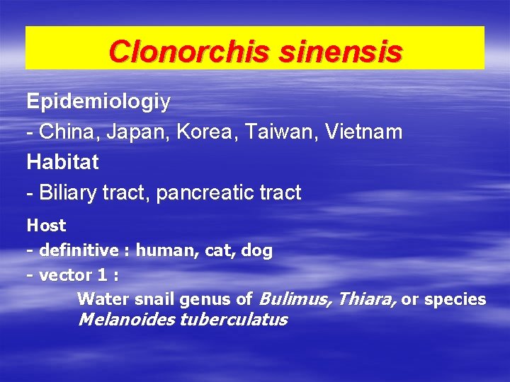 Clonorchis sinensis Epidemiologiy - China, Japan, Korea, Taiwan, Vietnam Habitat - Biliary tract, pancreatic