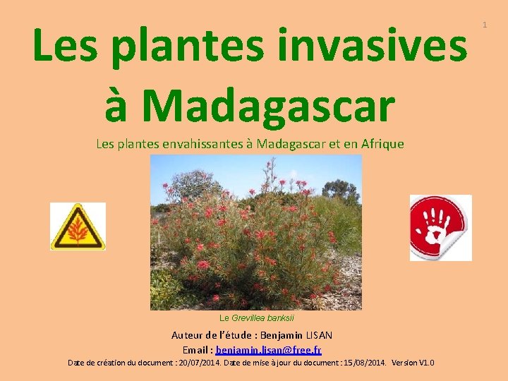 Les plantes invasives à Madagascar Les plantes envahissantes à Madagascar et en Afrique Le