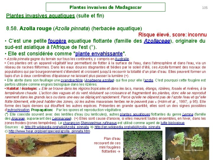 Plantes invasives de Madagascar 105 Plantes invasives aquatiques (suite et fin) 8. 58. Azolla