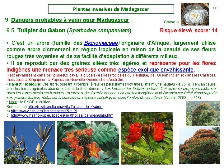 Plantes invasives de Madagascar 9. Dangers probables à venir pour Madagascar : 113 Graine