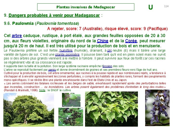 Plantes invasives de Madagascar U 114 9. Dangers probables à venir pour Madagascar :