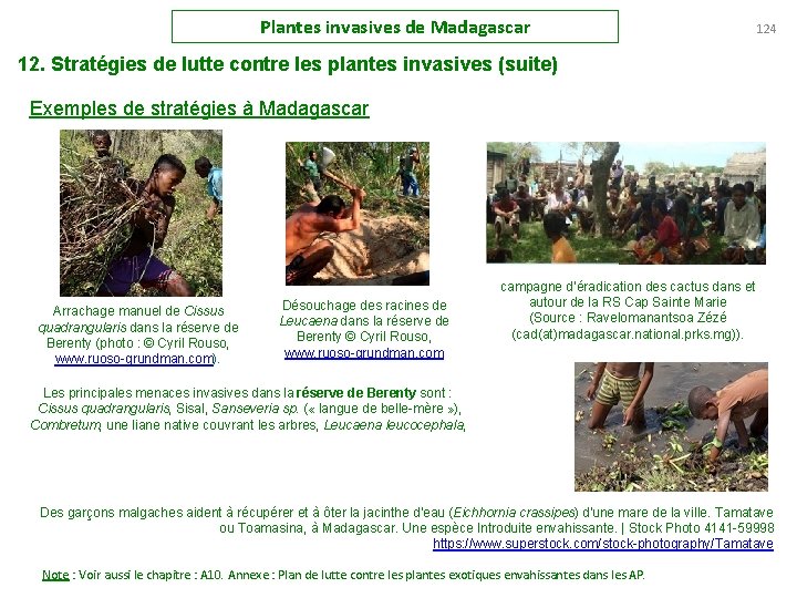 Plantes invasives de Madagascar 124 12. Stratégies de lutte contre les plantes invasives (suite)