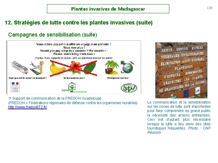 Plantes invasives de Madagascar 128 12. Stratégies de lutte contre les plantes invasives (suite)