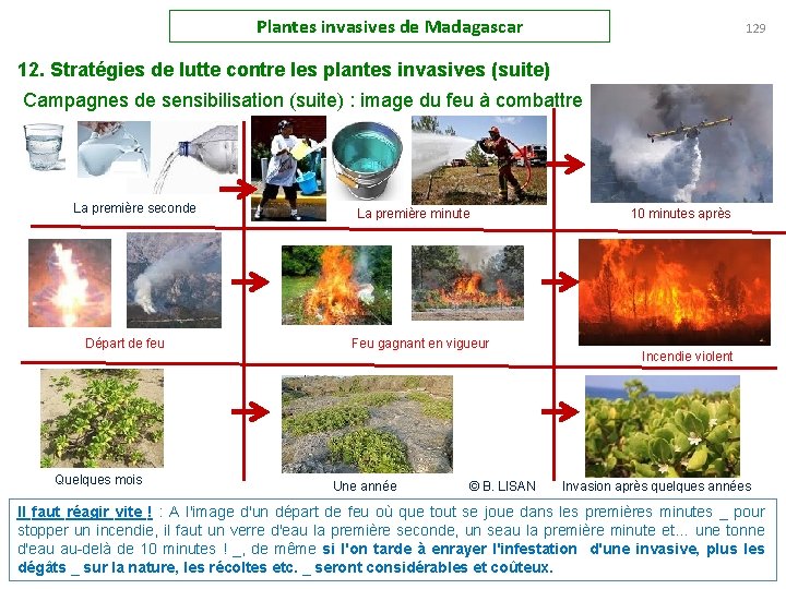 Plantes invasives de Madagascar 129 12. Stratégies de lutte contre les plantes invasives (suite)