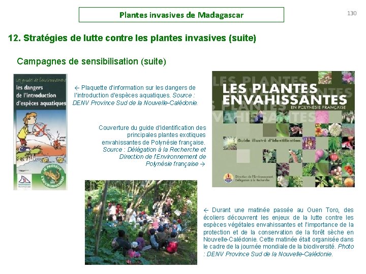 Plantes invasives de Madagascar 130 12. Stratégies de lutte contre les plantes invasives (suite)