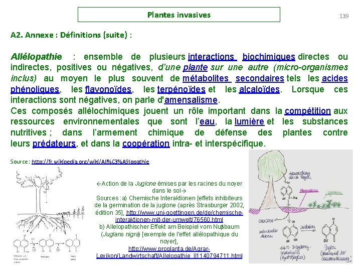 Plantes invasives 139 A 2. Annexe : Définitions (suite) : Allélopathie : ensemble de