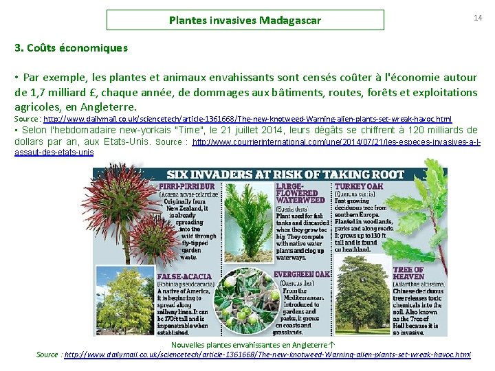 Plantes invasives Madagascar 14 3. Coûts économiques • Par exemple, les plantes et animaux