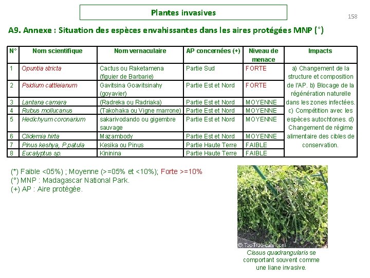 Plantes invasives 158 A 9. Annexe : Situation des espèces envahissantes dans les aires