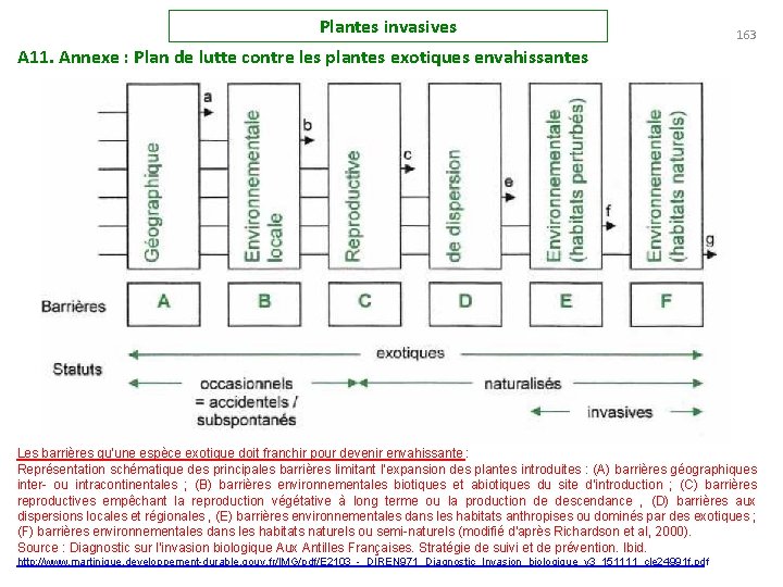 Plantes invasives 163 A 11. Annexe : Plan de lutte contre les plantes exotiques