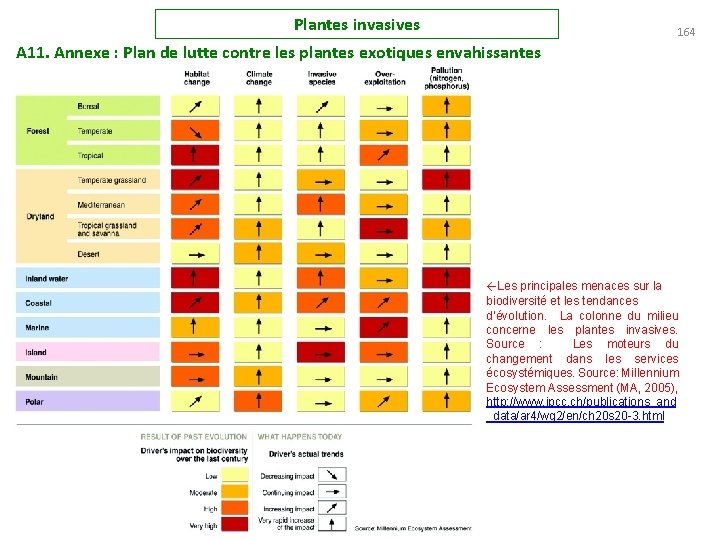 Plantes invasives 164 A 11. Annexe : Plan de lutte contre les plantes exotiques