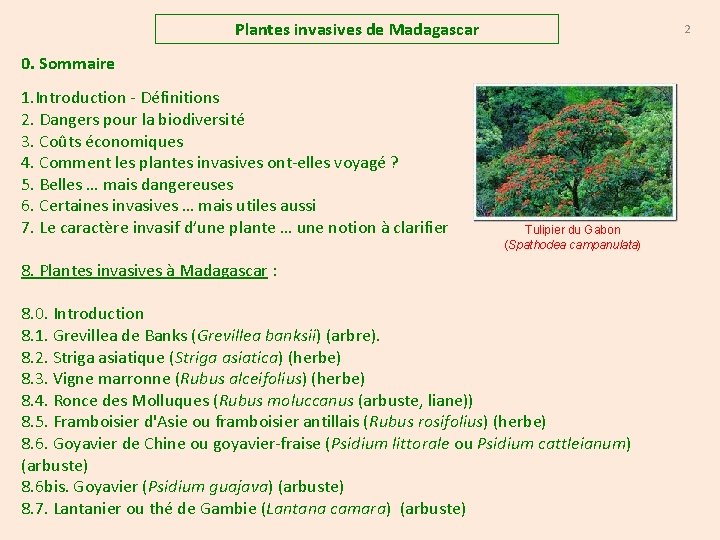 Plantes invasives de Madagascar 2 0. Sommaire 1. Introduction - Définitions 2. Dangers pour