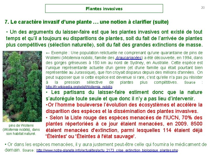 Plantes invasives 20 7. Le caractère invasif d’une plante … une notion à clarifier