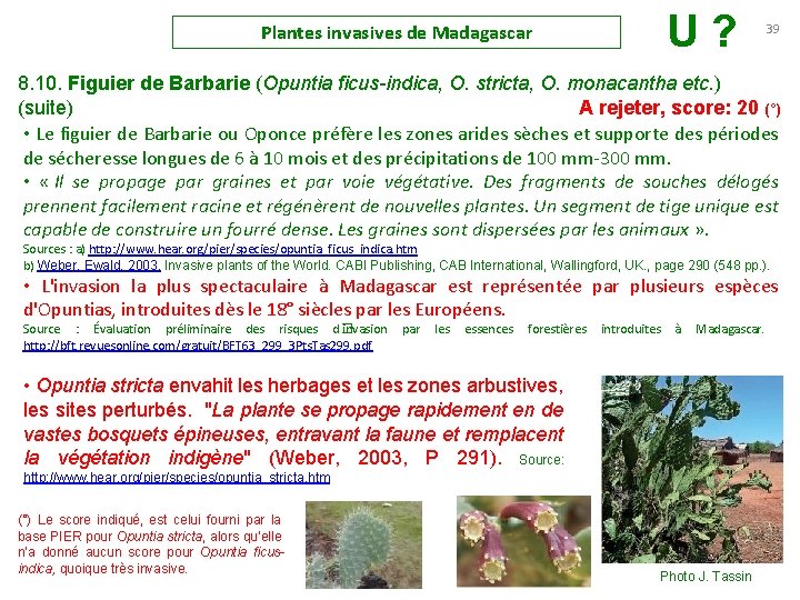 Plantes invasives de Madagascar U ? 39 8. 10. Figuier de Barbarie (Opuntia ficus