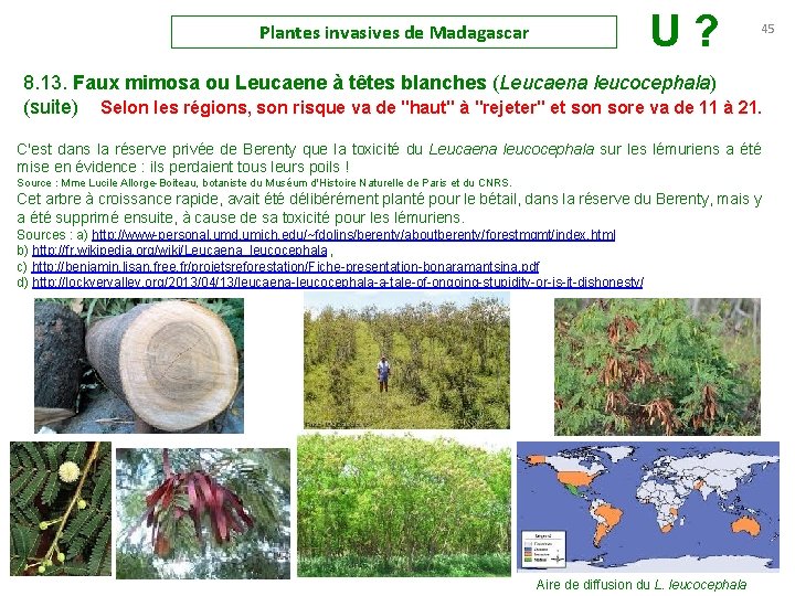 U ? Plantes invasives de Madagascar 45 8. 13. Faux mimosa ou Leucaene à