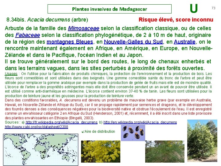 Plantes invasives de Madagascar U 73 8. 34 bis. Acacia decurrens (arbre) Risque élevé,