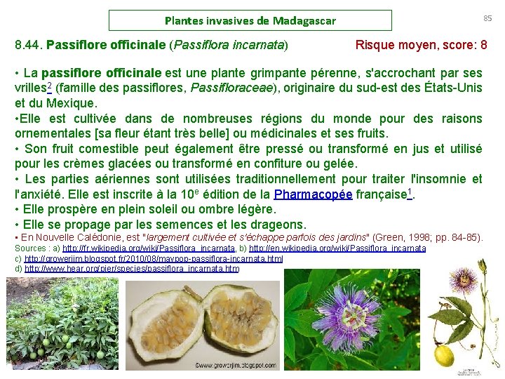 Plantes invasives de Madagascar 85 8. 44. Passiflore officinale (Passiflora incarnata) Risque moyen, score: