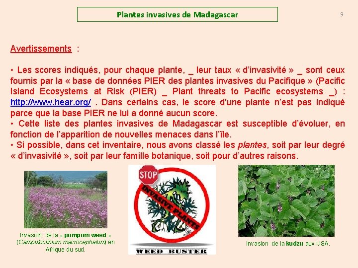 Plantes invasives de Madagascar 9 Avertissements : • Les scores indiqués, pour chaque plante,