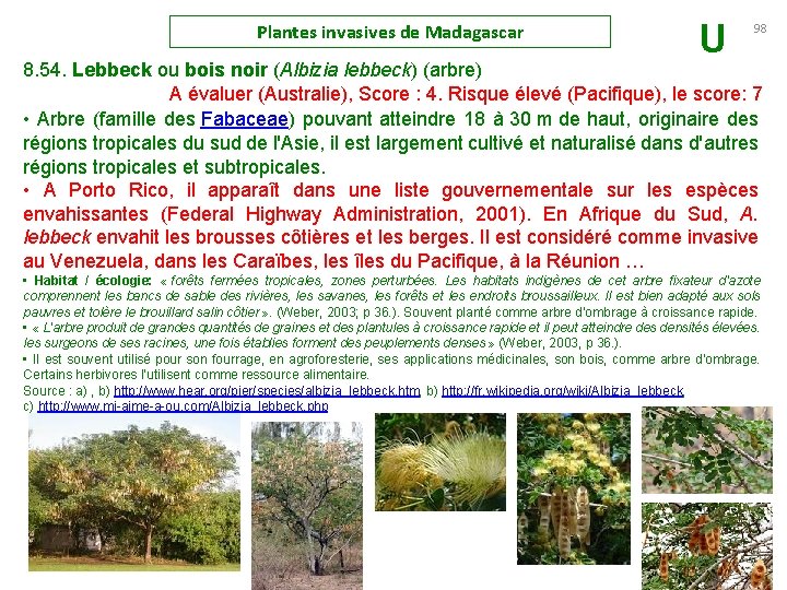 Plantes invasives de Madagascar U 98 8. 54. Lebbeck ou bois noir (Albizia lebbeck)