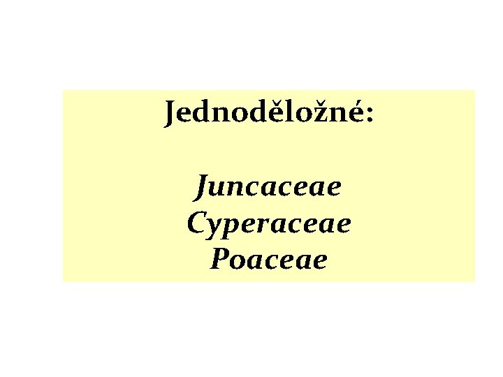 Jednoděložné: Juncaceae Cyperaceae Poaceae 