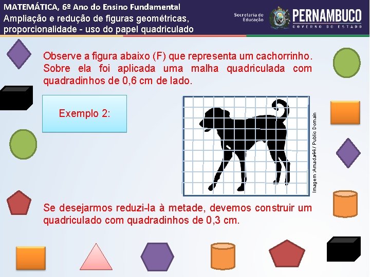 MATEMÁTICA, 6º Ano do Ensino Fundamental Ampliação e redução de figuras geométricas, proporcionalidade -