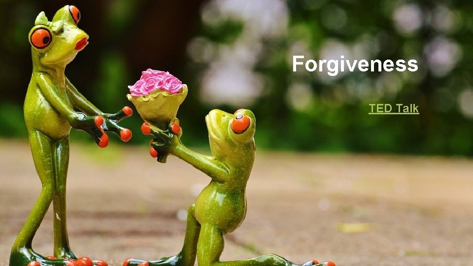 Forgiveness TED Talk 