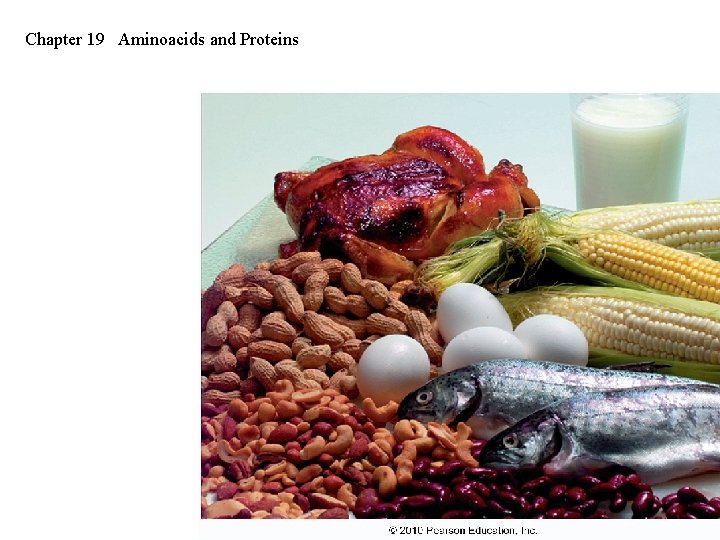 Chapter 19 Aminoacids and Proteins Chapter 19 Aminoacids and Proteins