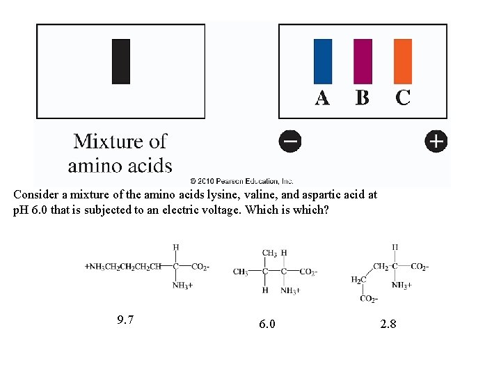 Consider a mixture of the amino acids lysine, valine, and aspartic acid at p. Consider a mixture of the amino acids lysine, valine, and aspartic acid at p.