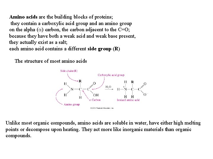 Amino acids are the building blocks of proteins; they contain a carboxylic acid group Amino acids are the building blocks of proteins; they contain a carboxylic acid group
