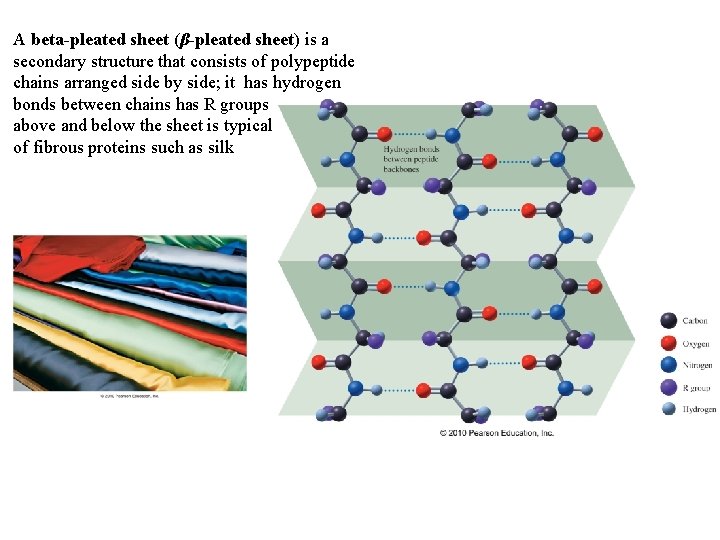 A beta-pleated sheet (β-pleated sheet) is a secondary structure that consists of polypeptide chains A beta-pleated sheet (β-pleated sheet) is a secondary structure that consists of polypeptide chains