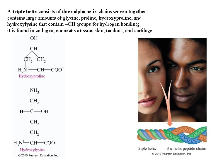 A triple helix consists of three alpha helix chains woven together contains large amounts A triple helix consists of three alpha helix chains woven together contains large amounts