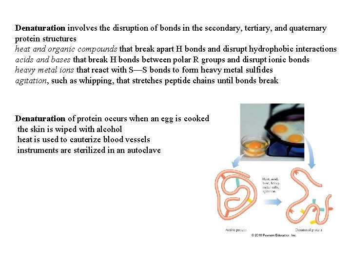 Denaturation involves the disruption of bonds in the secondary, tertiary, and quaternary protein structures Denaturation involves the disruption of bonds in the secondary, tertiary, and quaternary protein structures