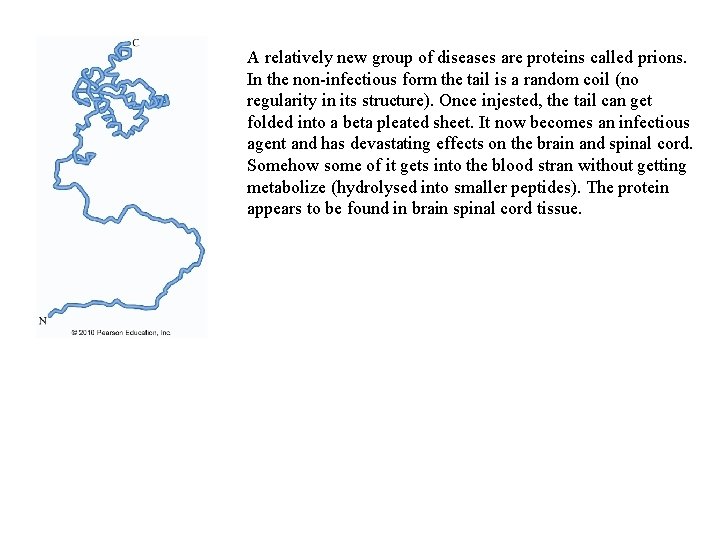 A relatively new group of diseases are proteins called prions. In the non-infectious form A relatively new group of diseases are proteins called prions. In the non-infectious form