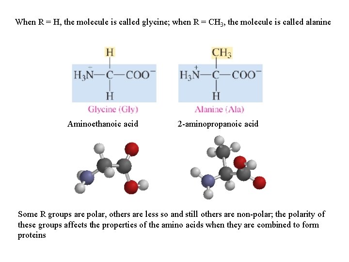 When R = H, the molecule is called glycine; when R = CH 3, When R = H, the molecule is called glycine; when R = CH 3,