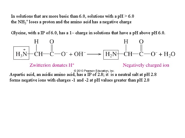 In solutions that are more basic than 6. 0, solutions with a p. H In solutions that are more basic than 6. 0, solutions with a p. H