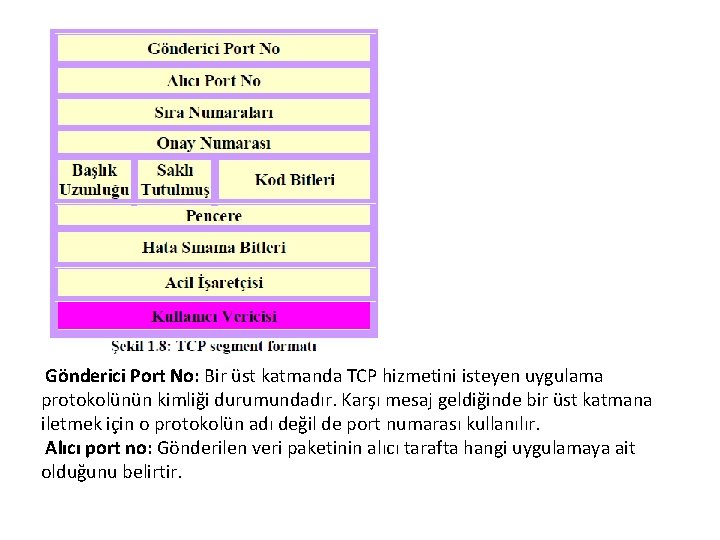 Gönderici Port No: Bir üst katmanda TCP hizmetini isteyen uygulama protokolünün kimliği durumundadır. Karşı