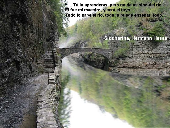 “. . . Tú lo aprenderás, pero no de mí sino del río. Él “. . . Tú lo aprenderás, pero no de mí sino del río. Él