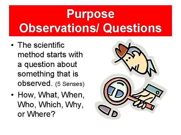 Purpose Observations/ Questions • The scientific method starts with a question about something that